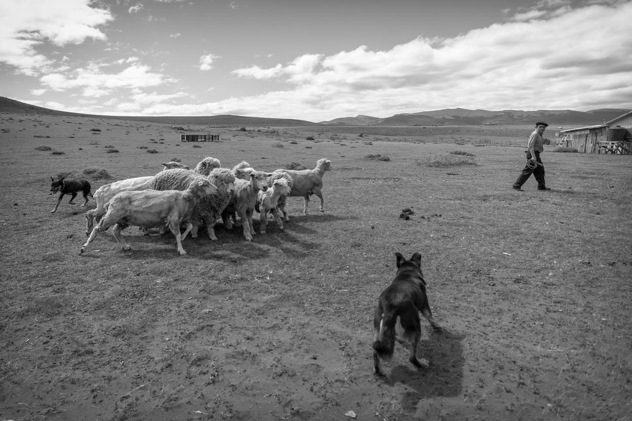 Estancia Dos Elianas Torres del Paine National Park المظهر الخارجي الصورة