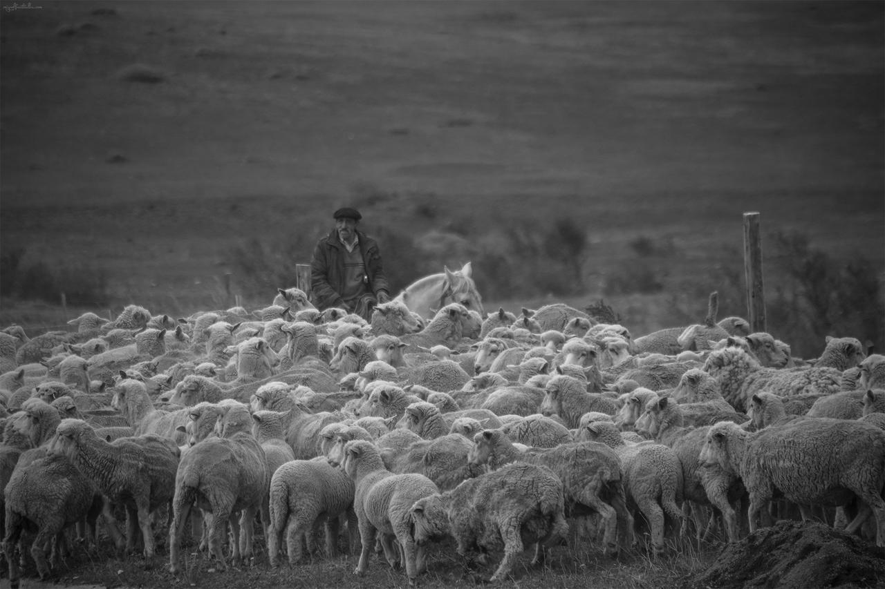 Estancia Dos Elianas Torres del Paine National Park المظهر الخارجي الصورة